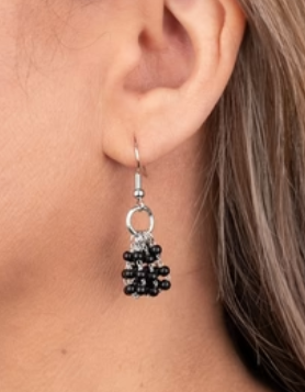 Party Posh Princess Black Earrings