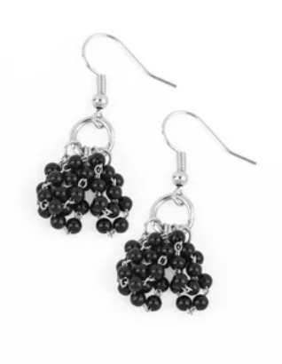 Party Posh Princess Black Earrings